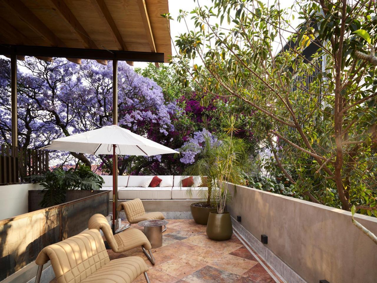 Hotel Dama Μεξικό Εξωτερικό φωτογραφία